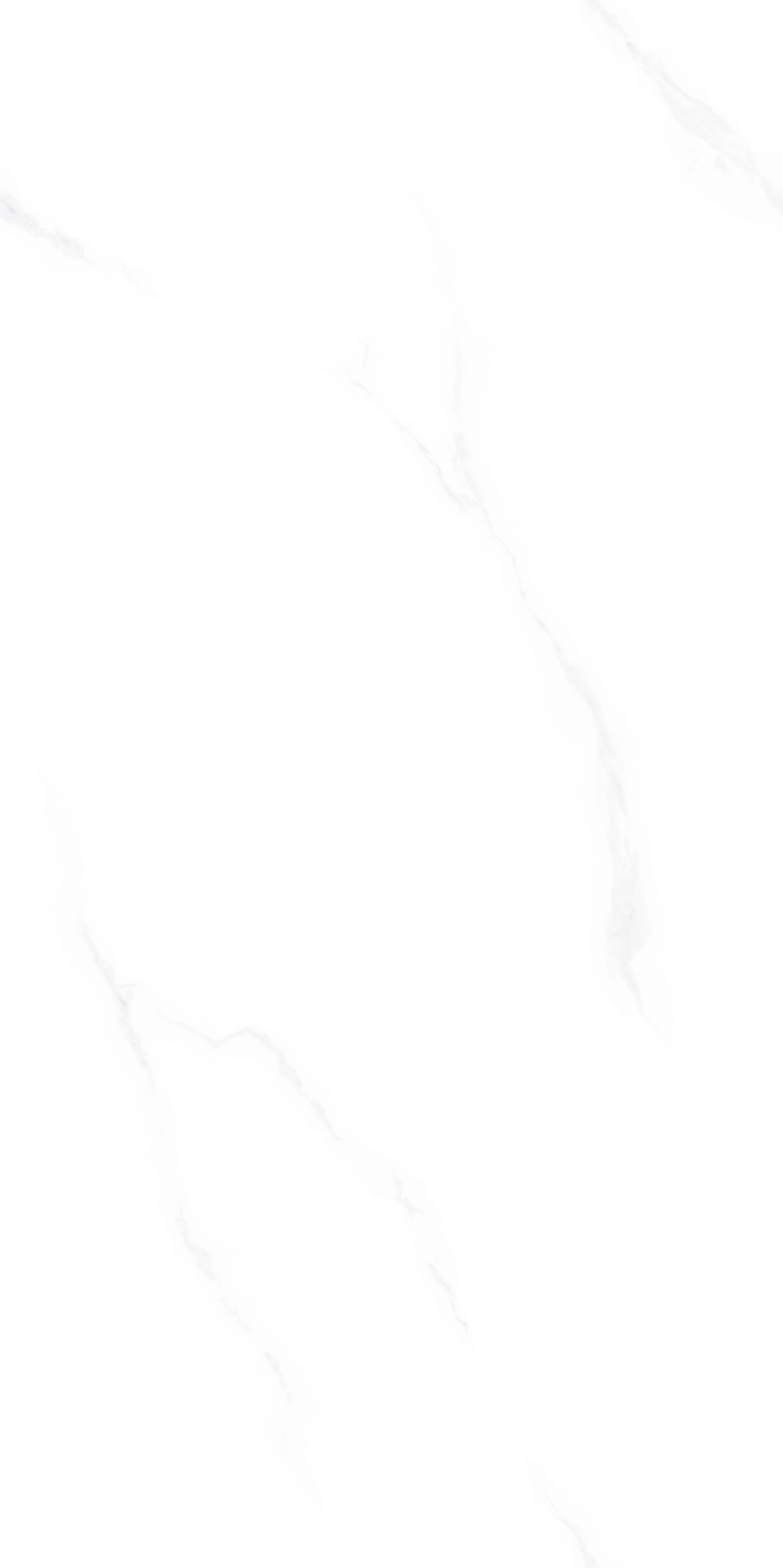 612SS006A苍茫雪域