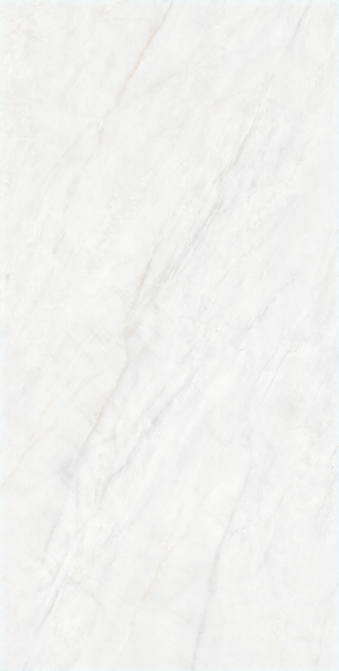 RL612YY06A2依云灰