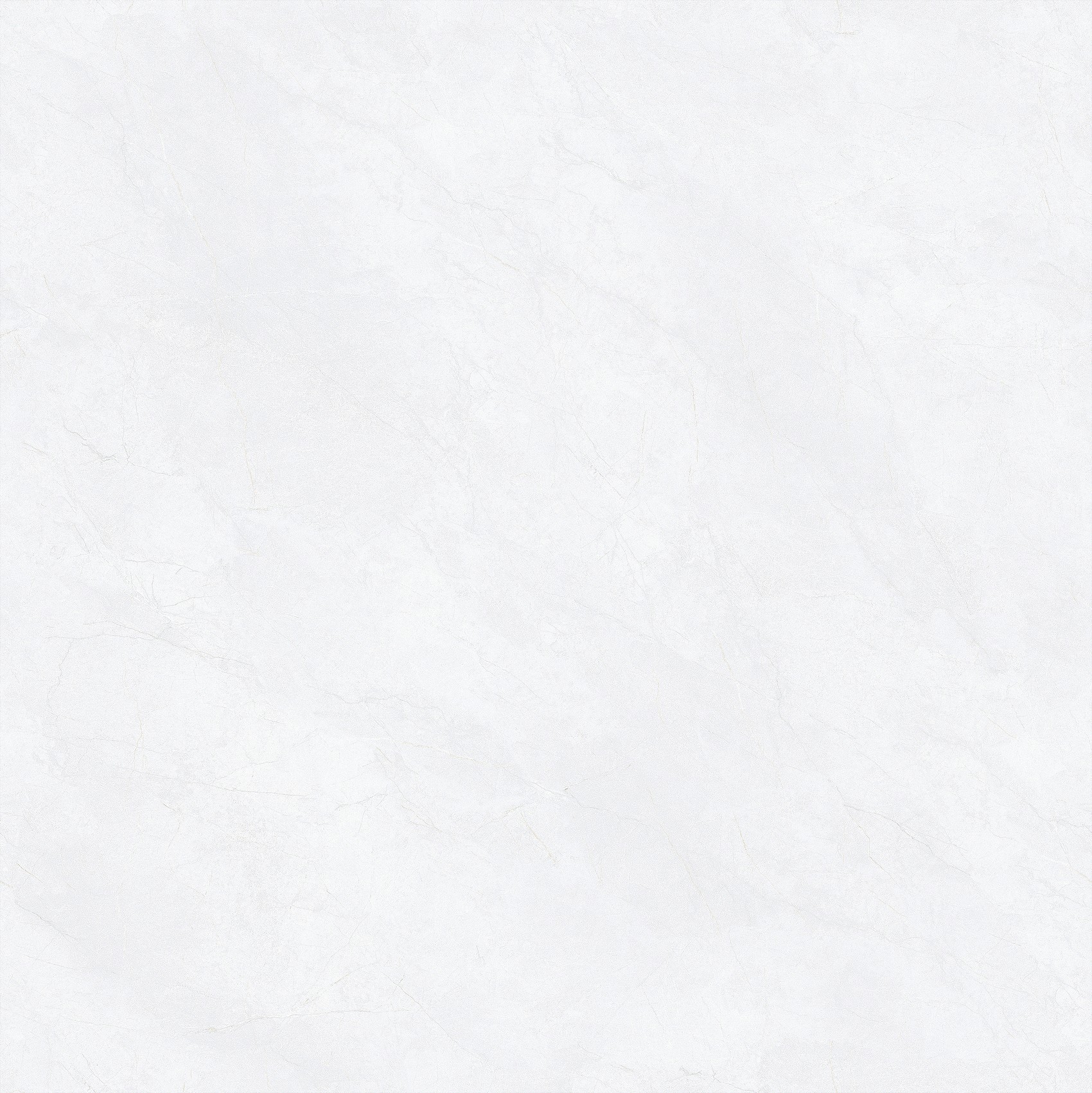 8T005A伊尔兰奶灰